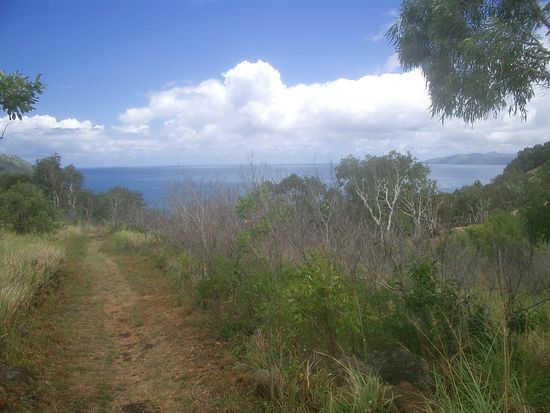 Der Weg zum Regenwald...