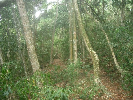 Und dann mittendrin...