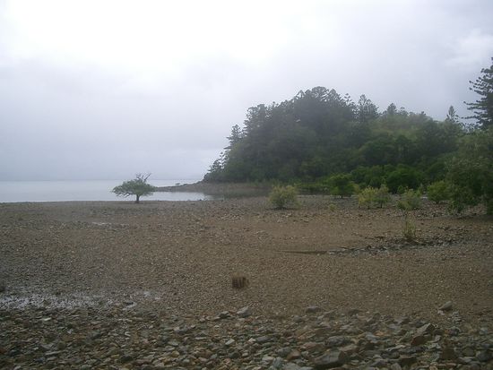 Hier bin ich an der Kueste angekommen.. Das Wetter spielte hervorragend mit. Es regnete nicht. War jedoch stark bewoelkt. Klasse fuer ein Marsch im Busch... es war sehr warm.... Die Luftfeuchtigkeit...