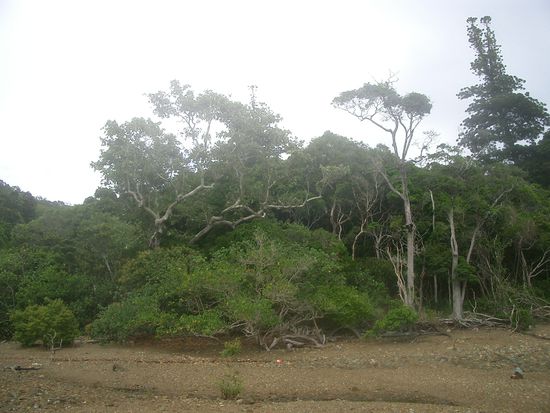 Von hier kam isch... mmmhhh finde ich wohl noch zurueck?