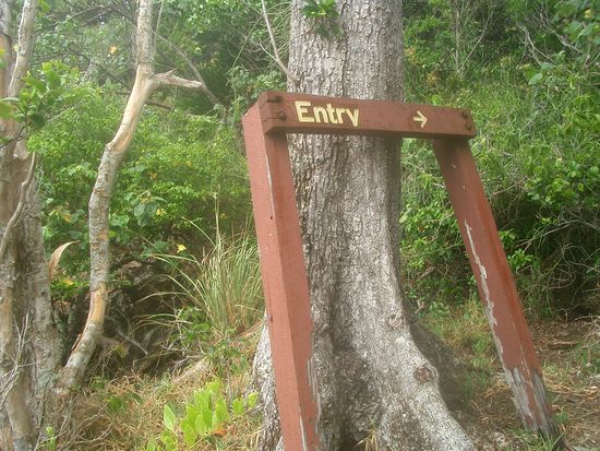 Da endlich... Der Weg zurueck...