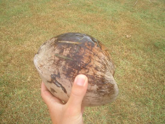 zum Glueck viel mir diese nicht auf den Kopf... ich nahm sie prompt in den Rucksack und probiere sie heute in Sydney aufzumachen...