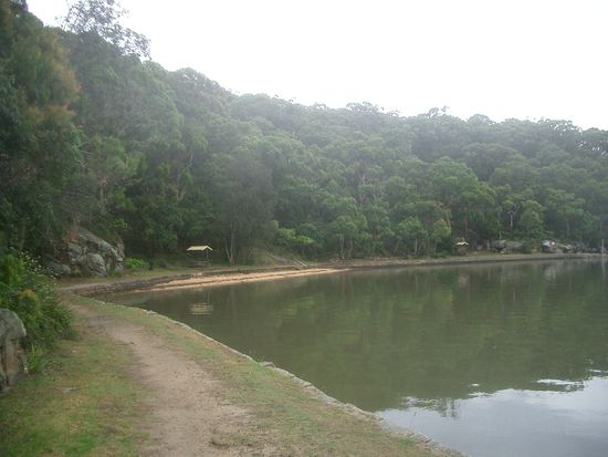 Am Ufer des Oatley Bay...