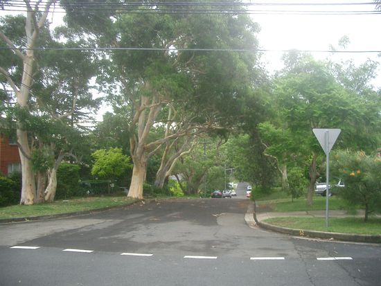 Und wieder aus dem Park...