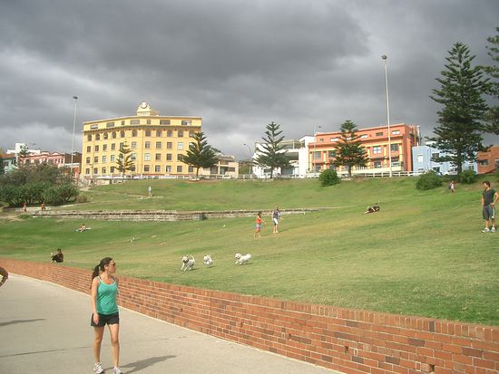 Hinter dem Strand.... Wiese...