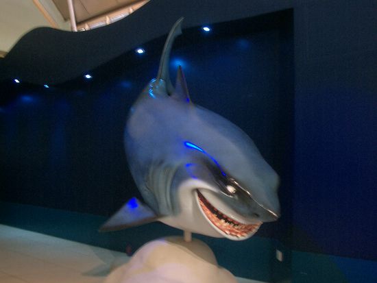Das ist noch nicht der weisse Hai.... der ist unecht...