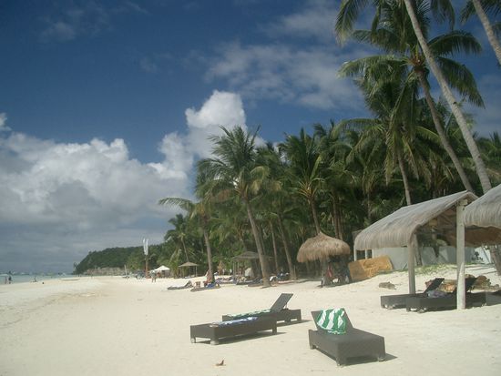 ... Traeume werden war...