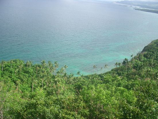 Schoen.. ein Wald voller Palmen, und das Meer...