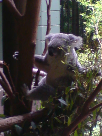 Dann, die 2. Wahrheit naht...