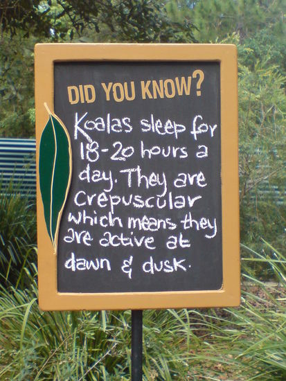 Und dann die grosse Erloesung. Da stand es weiss auf schwarz. Man, die haben ein Leben....