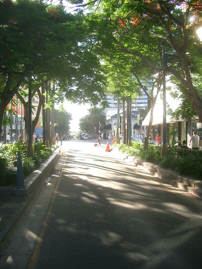 .... die haben jedemenge Gruen...