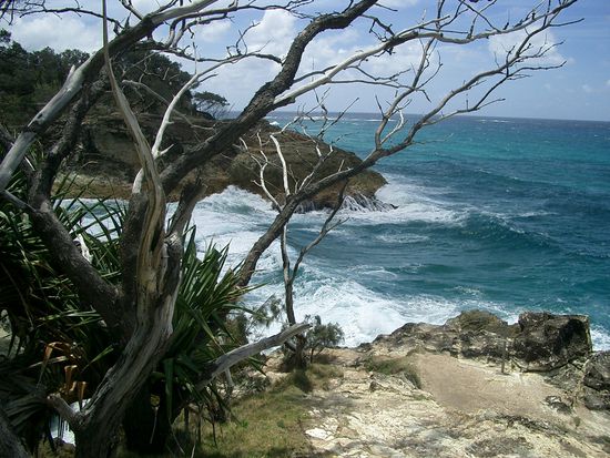 Hier konnte ich Wasserschildkroeten und Delphine sehen. Im Juni, Juli und August kann man Buckelwale sehen, welche nahe an ~Straddie~ vorbeischwimmen.