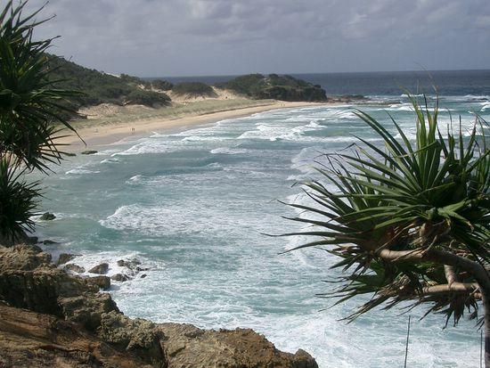 Die Palmen, das Meer, der Strand...