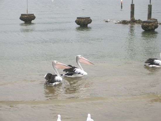 Und weils so schoen ist...