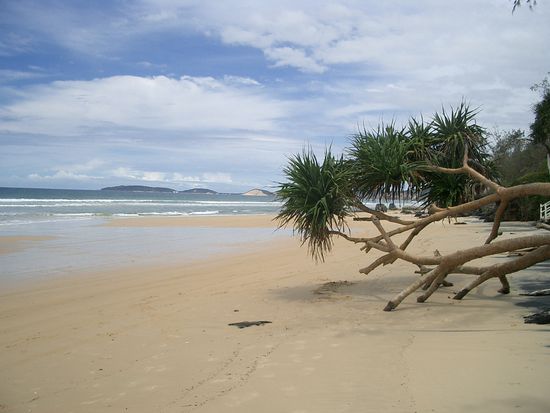 ... und dann noch mit einer Palme...