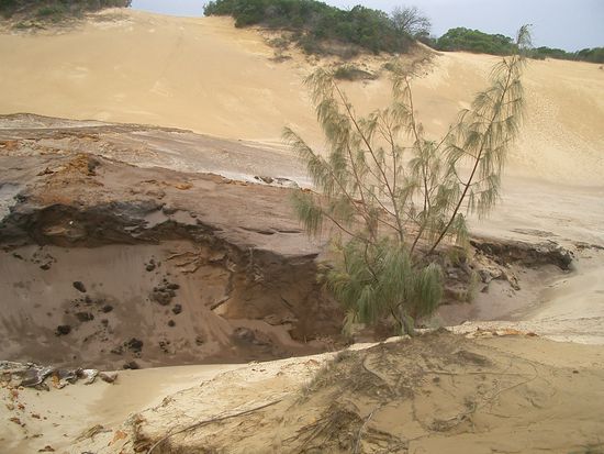 Einwenig der sandigen Huegellandschaft...