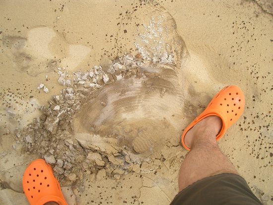 This shoes looks very nice...