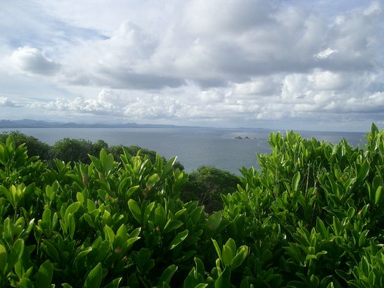 Australien ist noch lange keine Wueste oder dergleichen. Zumindest nicht an der Kueste....