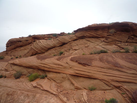 Die Wueste von Arizona.