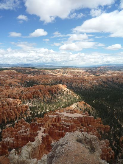 Bryce Canyon mit seinen wunderbaren Farben.