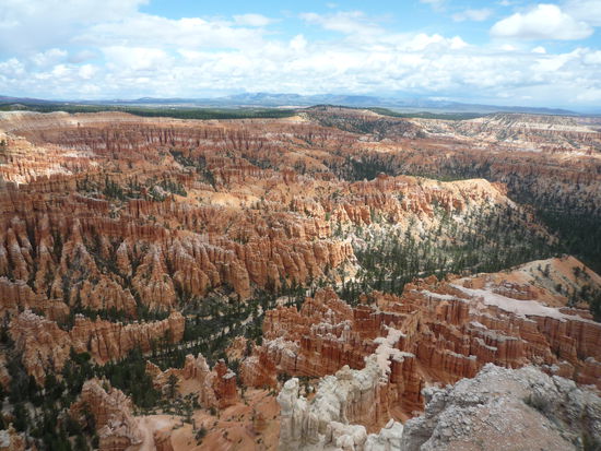 Wie Zahnstocher gehen die Steine aus der Erde hervor.
