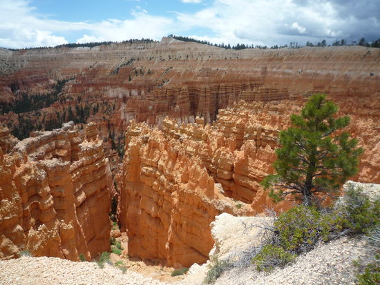 Hier wollten wir ins Tal wandern - aber wie schon erwaehnt hat uns das Wetter ein Streich gespielt. Jedoch wurden wir zum Glueck nicht vom Blitz getroffen...