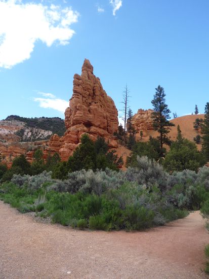 Kaum hatten wir den Canyon verlassen, kam das schoene Wetter und die schoenen Farben zurueck.