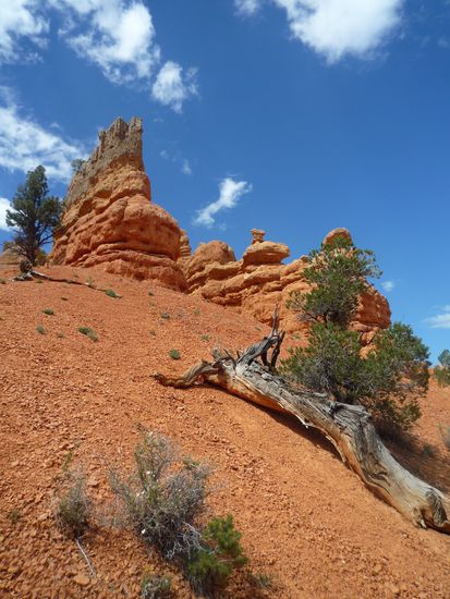 Nicht ein fantastischer Schnappschuss?