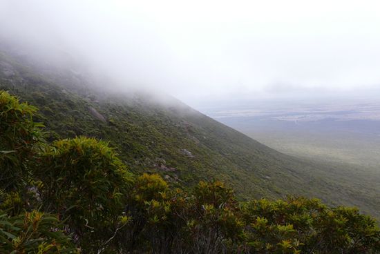 Nebel in den Bergen