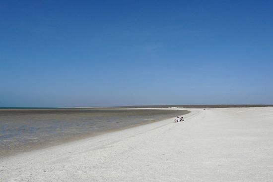 Shell Beach