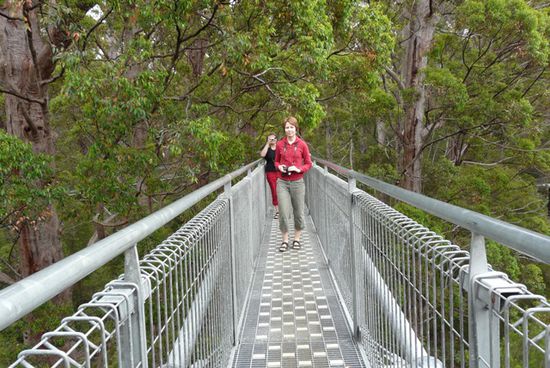 Auf der Brücke