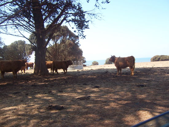 Sie waren sehr viel grösser als sie hier aussehen
