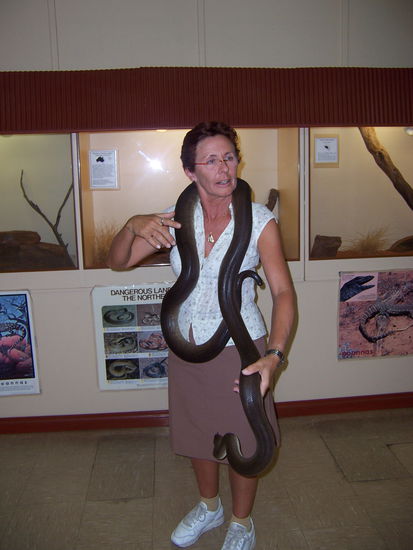 Nach anfänglichen Berührungsängsten fand ich es toll