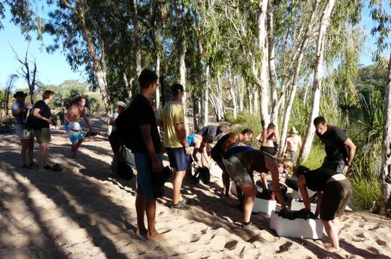 Unsere Gruppe macht sich auf,den Manning River zu überqueren