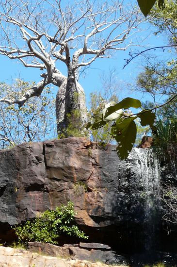Wasserfall am Bell Gorge