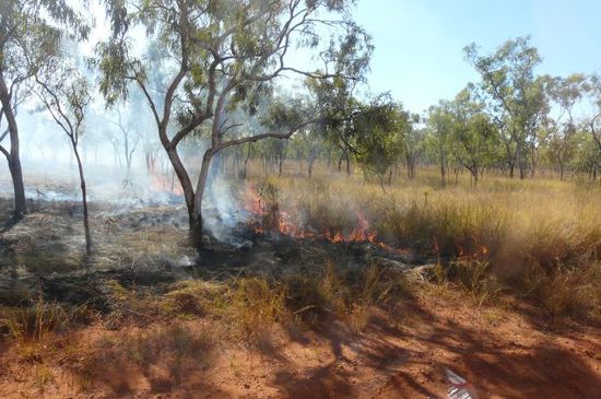 Controlled Bushfires