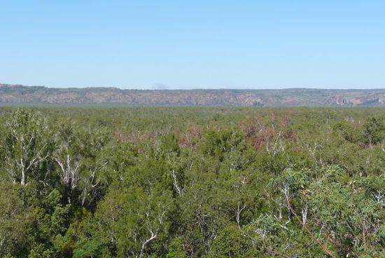 Blick über die Ebenen im Kakadu NP
