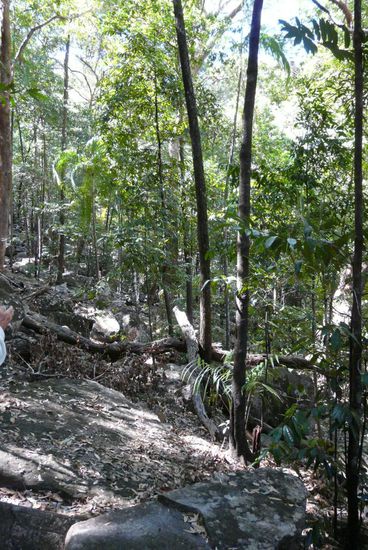 Sieht einfacher aus als es war