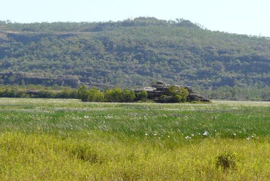 Landschaft in Arnhemland