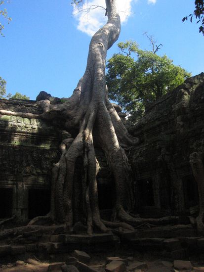 bei diesem tempel wurde tom raider gedreht