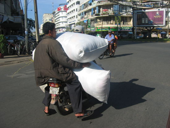 und das ist noch gar nichts. sie transportieren ganze familien, schweine, huehner und den halben garten auf dem moped