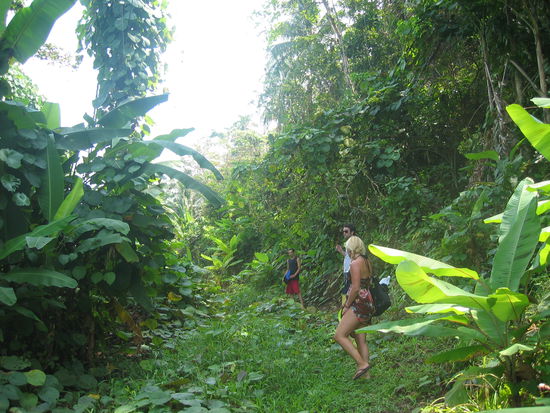trecken auf den perhentien islands