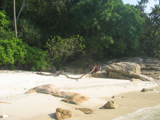 auf dem weg zum schnorcheln haben wir diesen kleinen, einsahmen strand gefunden