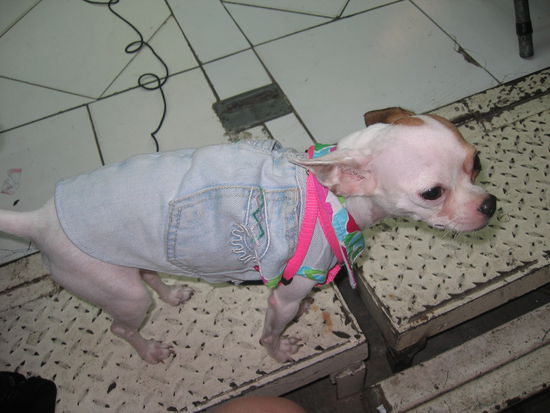 unser nachtessen, leckaa