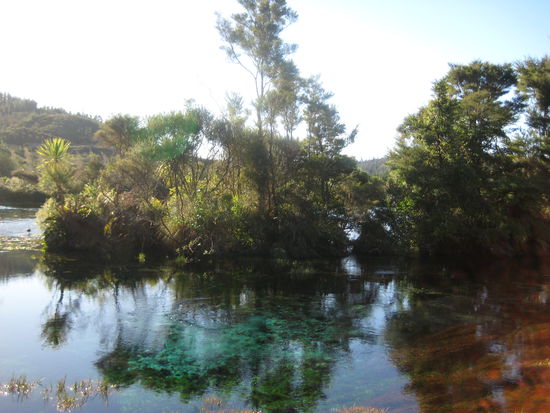 hot springs bei unserem ausflug nach motueka und takaka (golden bay)