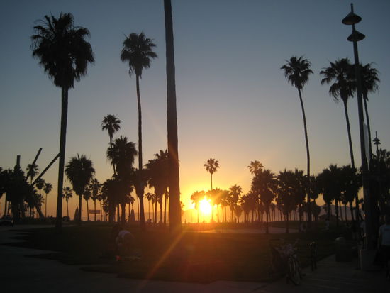venice beach (dies war praktisch der ausblick von unserem zimmer!)