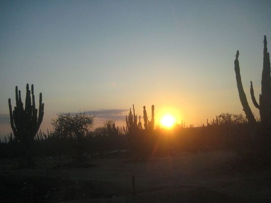 auf dem weg nach cabo san lucas