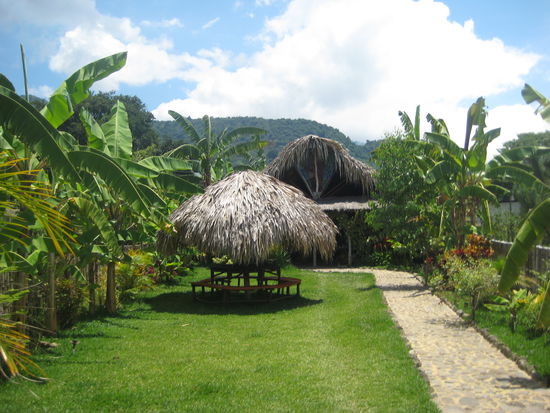 unser liebslingsrestaurant: zoola