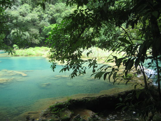 semuc champey pools