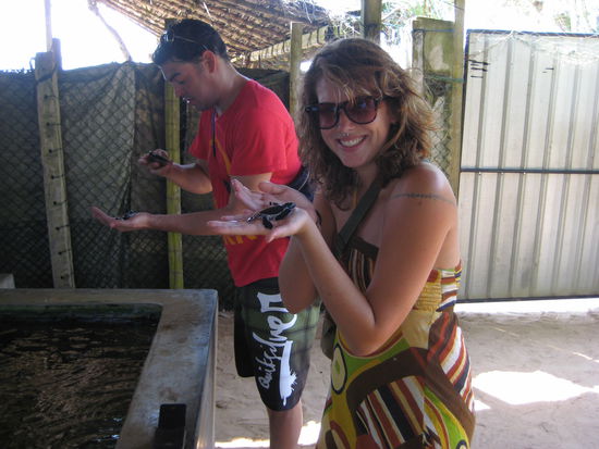 bei der turtel farm. dieses kleine ding ist gerade mal einen tag alt